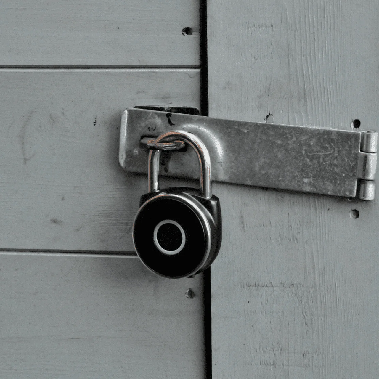 Akor FingerPrint Padlock - Image 3