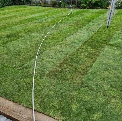 Lawn Turf *Bulk Buy* - Image 3