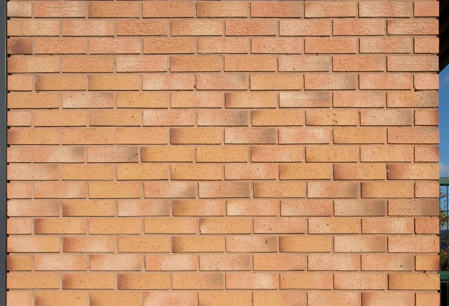 Carlton Flamborough Gold Brick 73mm - Image 6