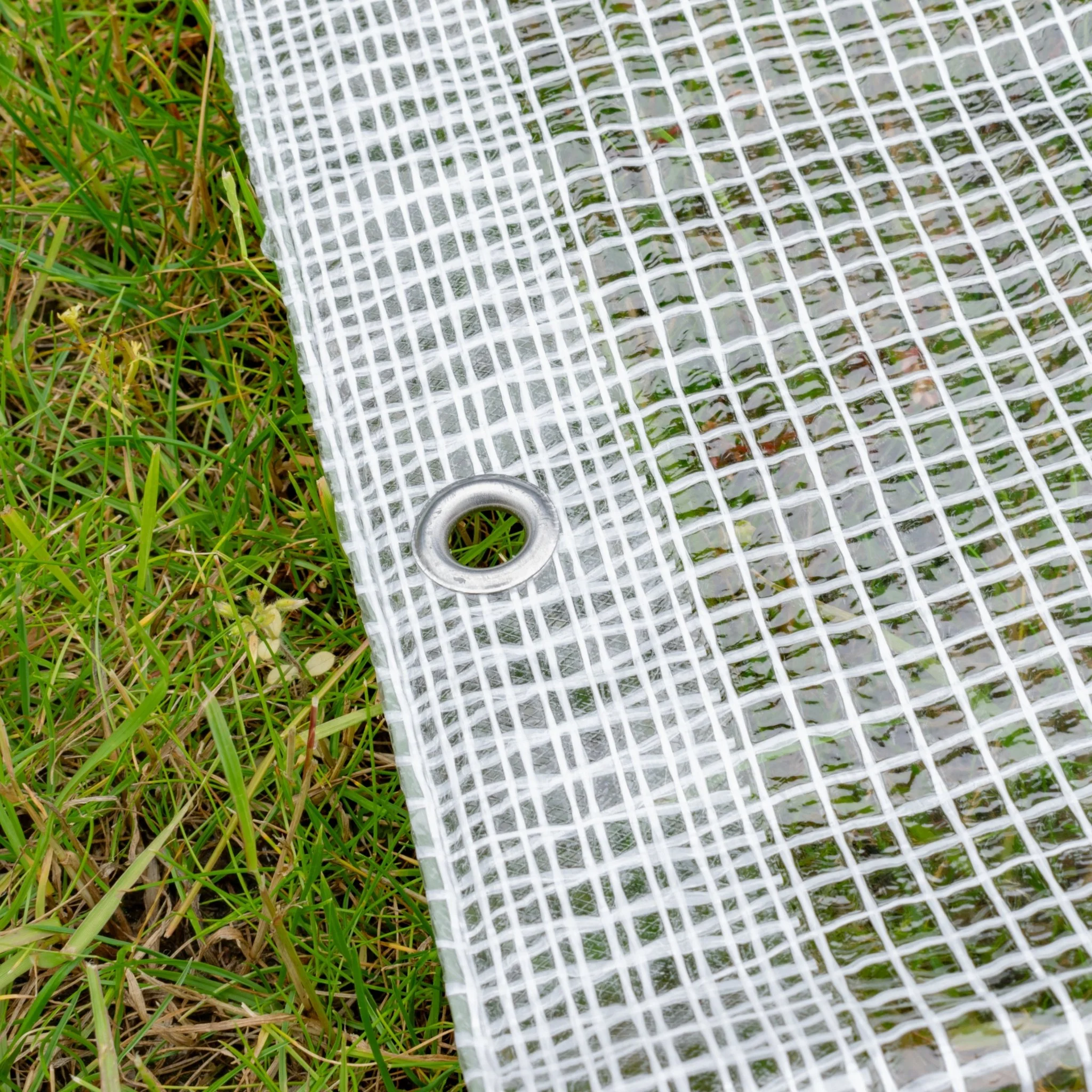Clear M-Grade Tarpaulin with 20 x 6" Bungee Balls (White) - Image 5