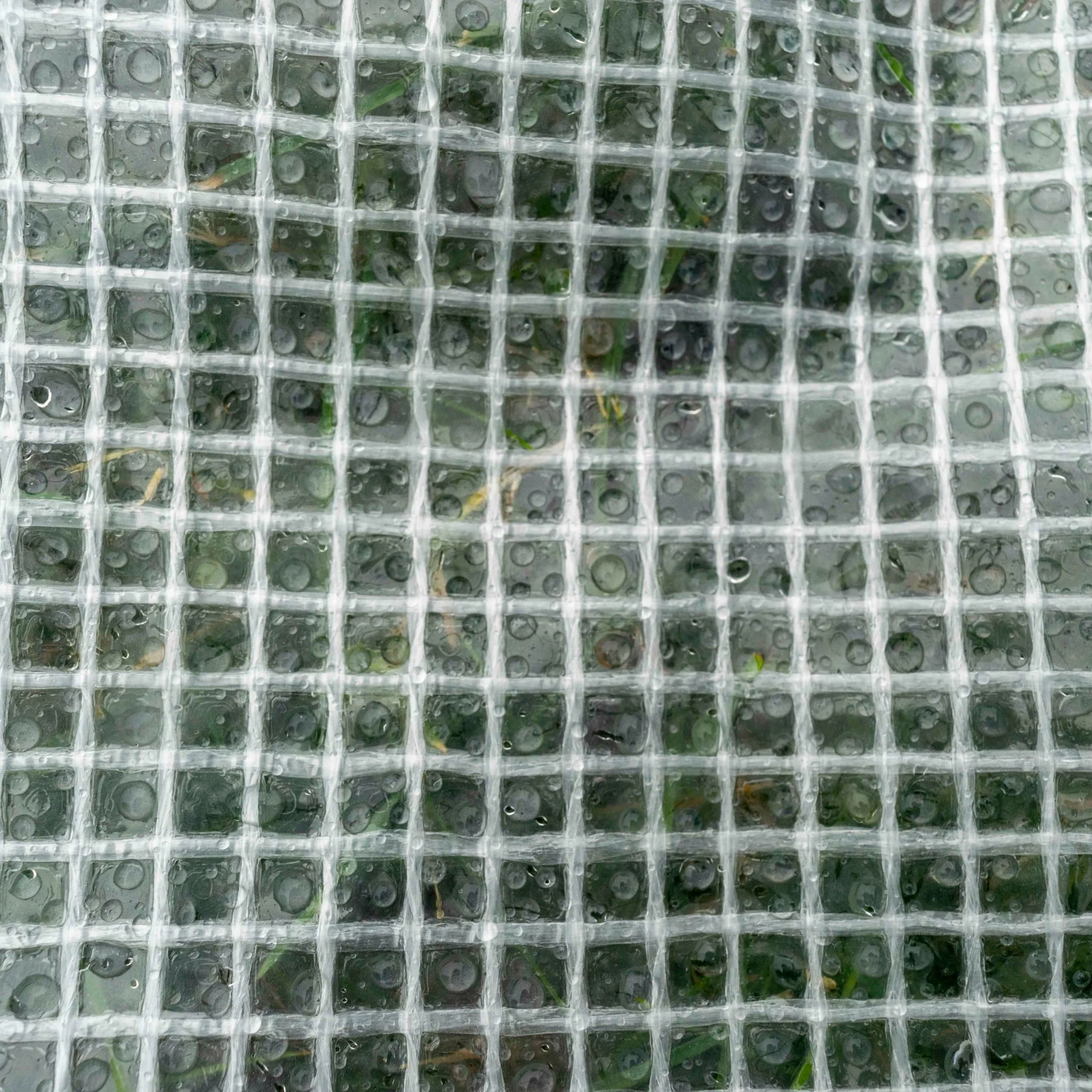 Clear M-Grade Tarpaulin with 20 x 6" Bungee Balls (White) - Image 9
