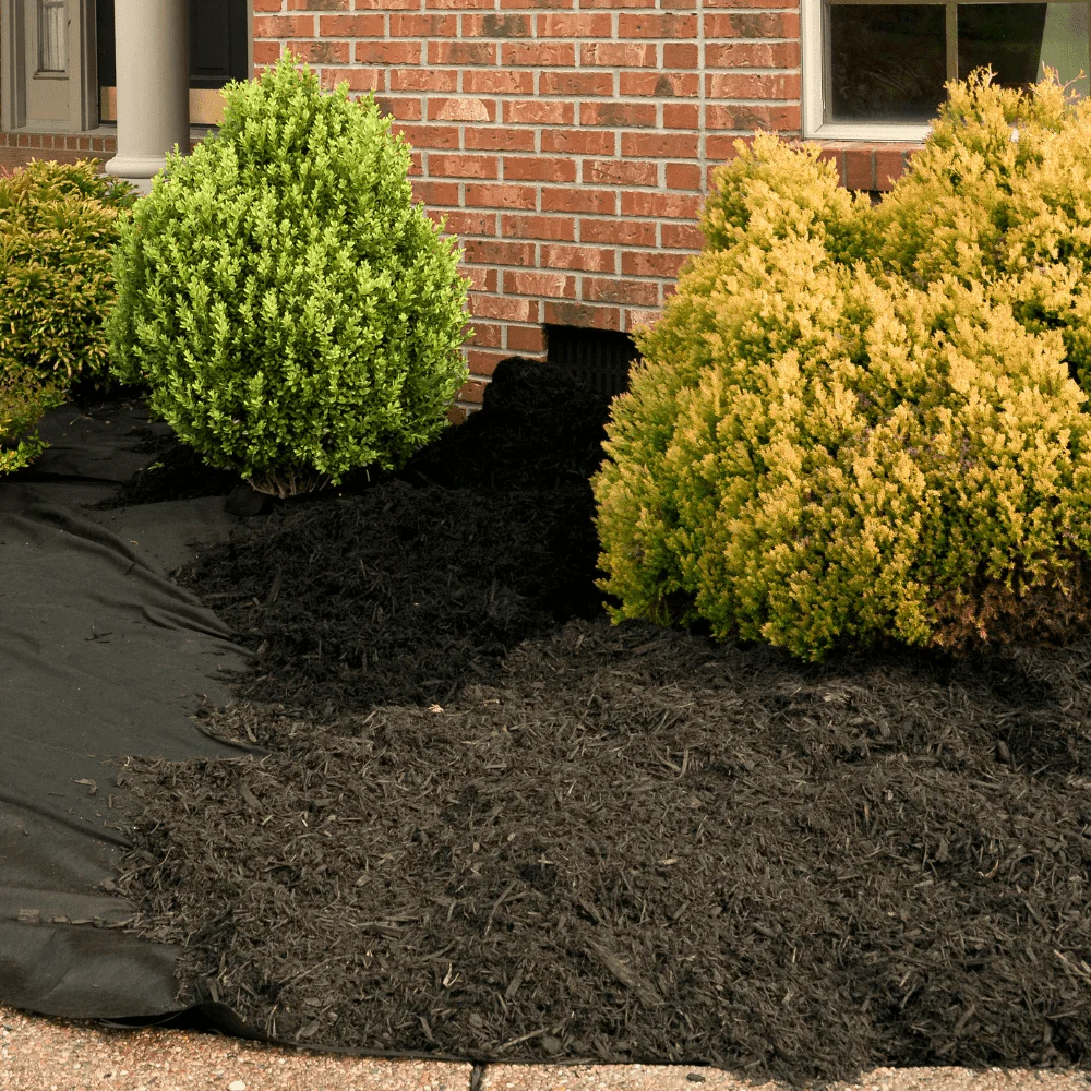 Composted Mulch Bark Fines - Image 2