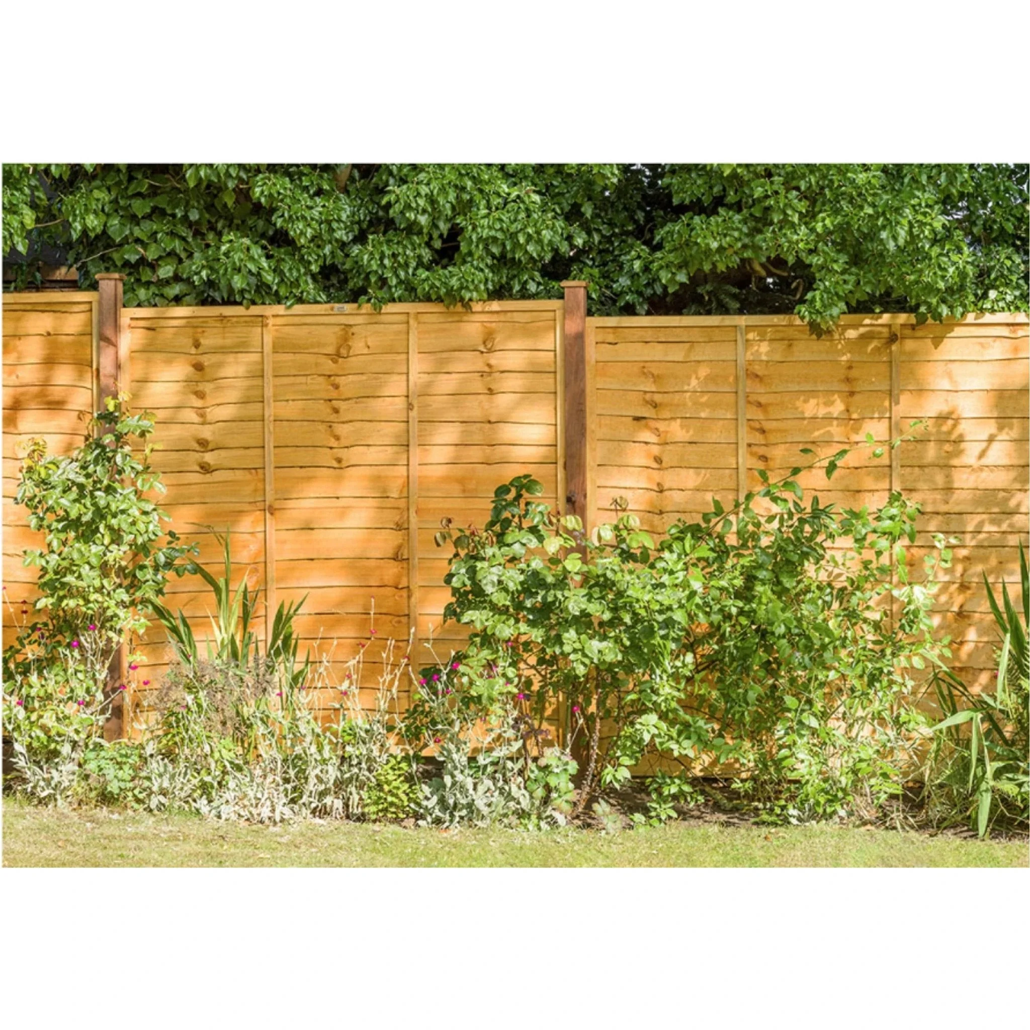 Garden Fence Panels Superior Lap in Packs 1828mmx 900mm (6ft x 3ft) - Image 4