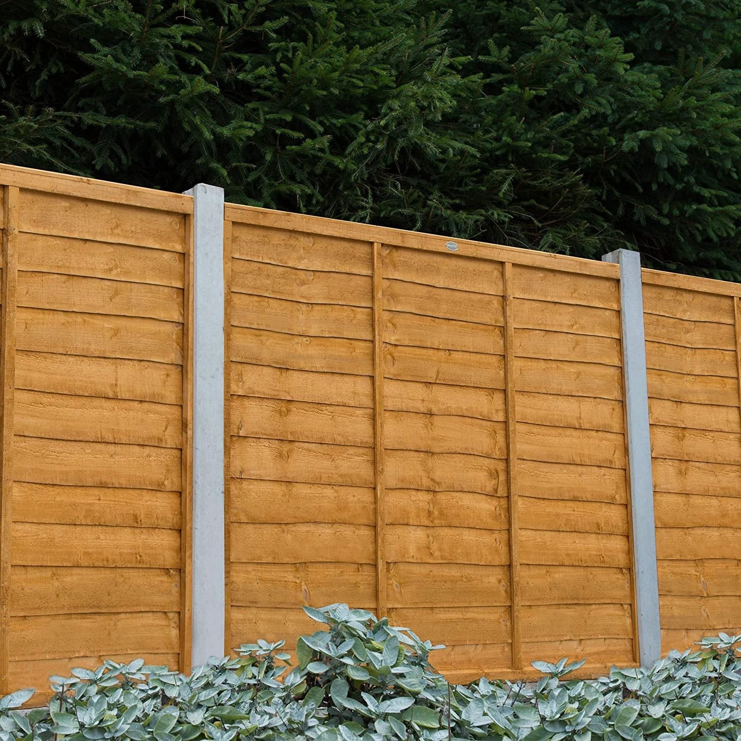 Garden Fence Panels Superior Lap in Packs 1828mmx 900mm (6ft x 3ft) - Image 5