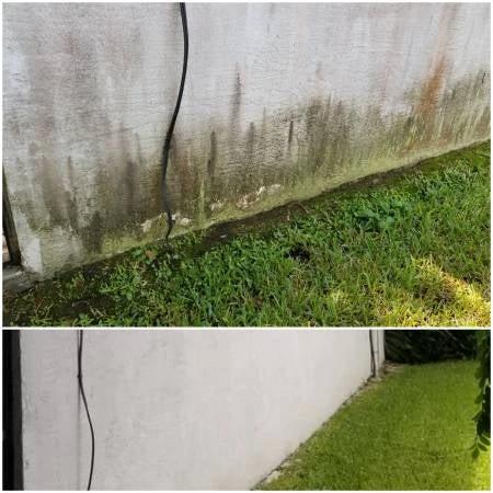 Hypo SuperFoam+ (Blackspot Remover) Softwash Solution - Image 4