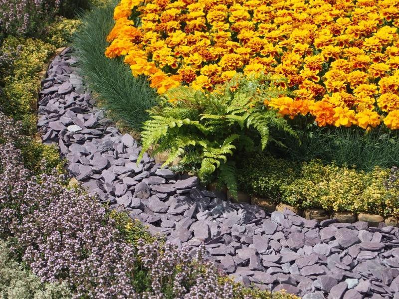 Plum Welsh Slate Chippings 40mm - 800kg Bulk Bags - Image 6