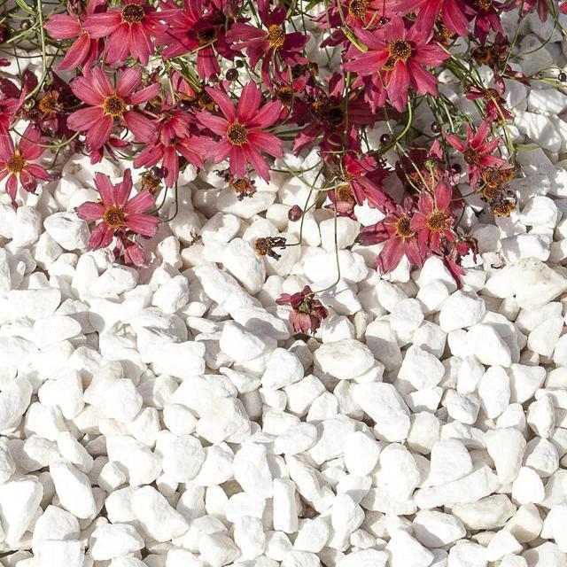 Polar White Spanish Marble Gravel 20mm 25/50 20kg Bags
