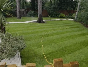 Premier Lawn Turf *Bulk Buy* - Image 3